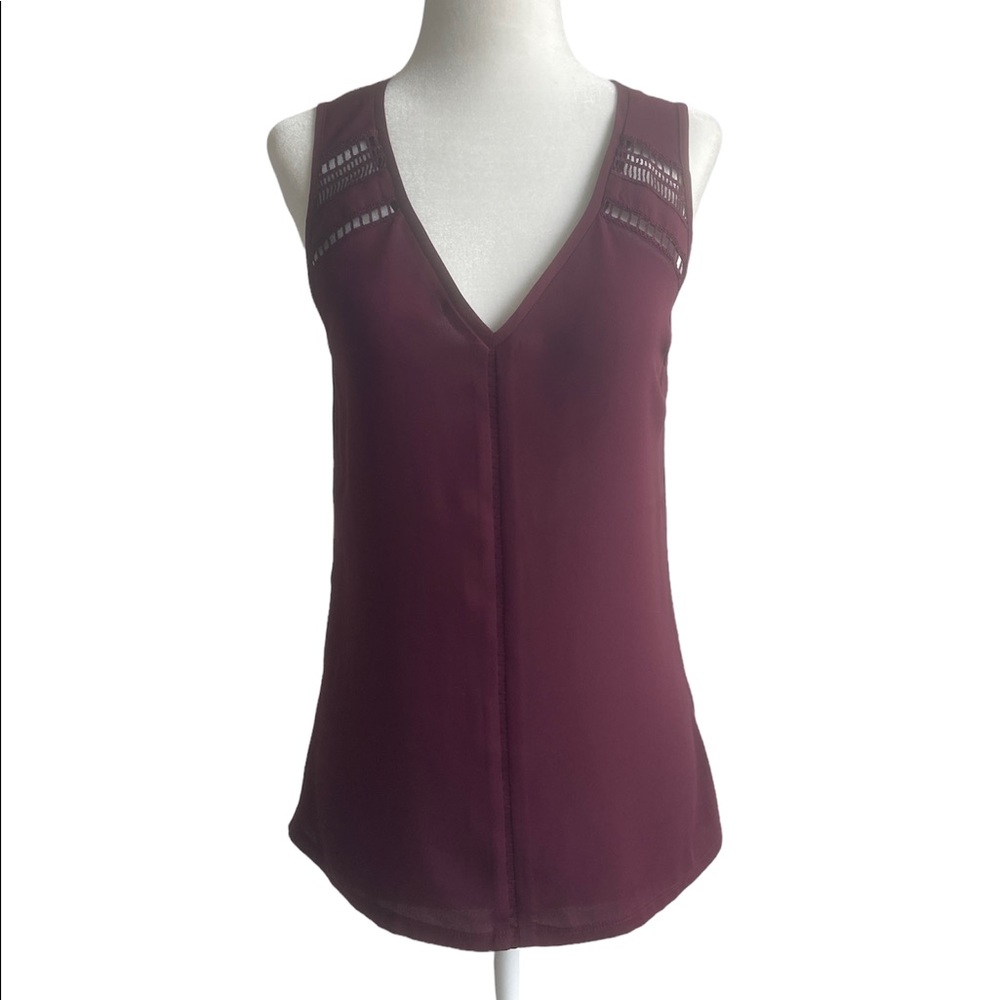 Express Burgundy V Neck Blouse